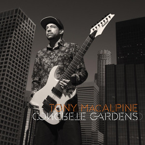 Concrete Gardens album