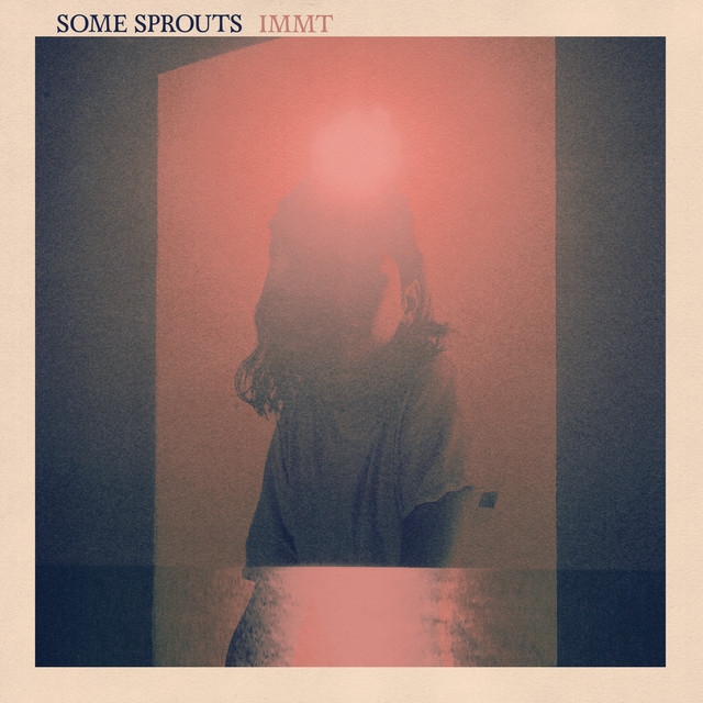 Immt cover