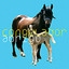 Abrigo Albumcover