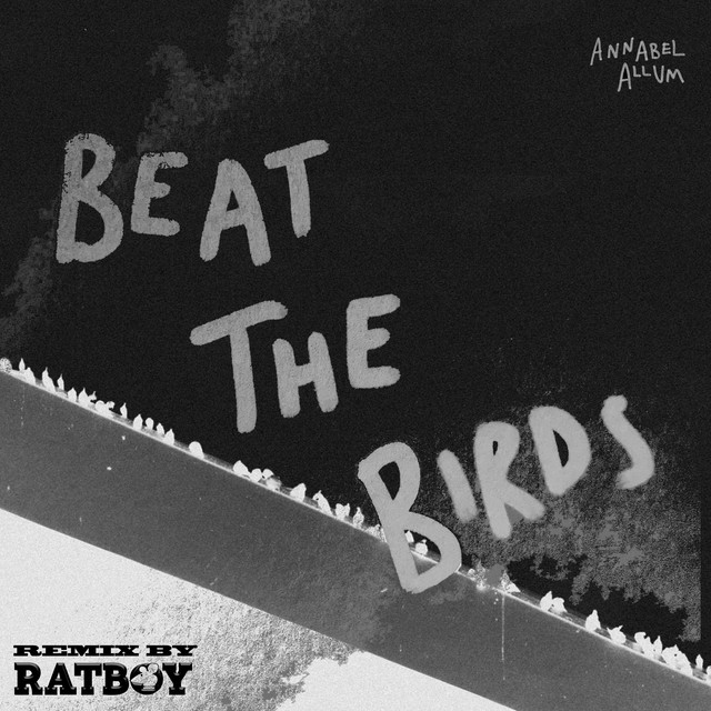 Beat The Birds cover