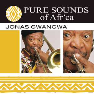 Pure Sounds of Africa album