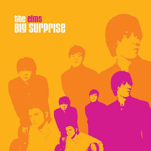 Big Surprise cover