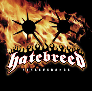 Perseverance cover
