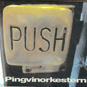 Pingvinorkestern Photo