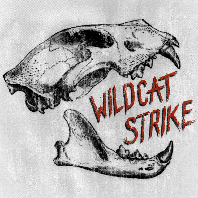 Wildcat Strike Photo