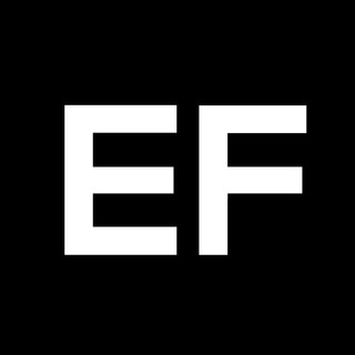 Eleven Fly Photo