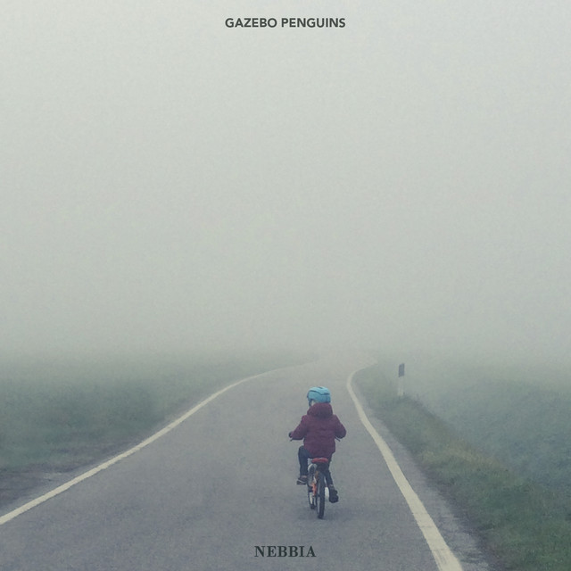 Nebbia cover