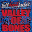 Valley of Bones cover
