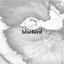 Bluebird Albumcover