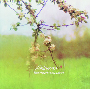 Bloesem album