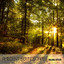 Ambient SoundScapes, Vol. 15 cover