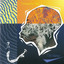 THC Winter cover