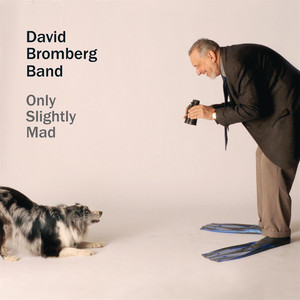 Only Slightly Mad album