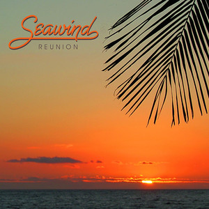 Reunion cover