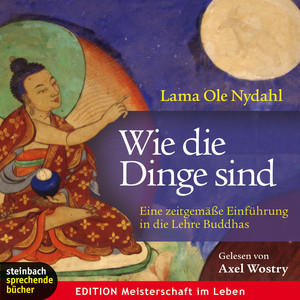Wie die Dinge sind - Eine zeitgemäße Einführung in die Lehre Buddhas (Gekürzt)