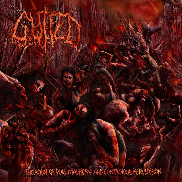 Gutfed Photo