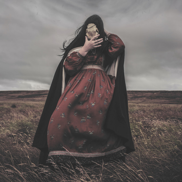Hawthonn Photo