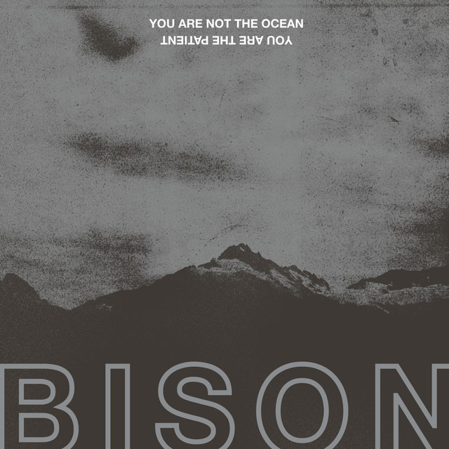 You Are Not The Ocean You Are The Patient cover
