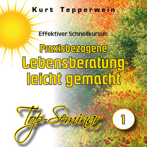 Effektiver Schnellkursus: Praxisbezogene Lebensberatung leicht gemacht (Top-Seminar Teil 1)