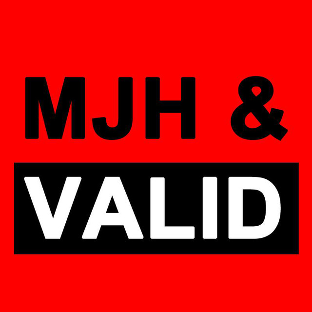MJ Hibbett & The Validators photo