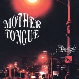Streetlight cover