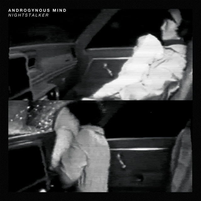 Androgynous Mind Photo