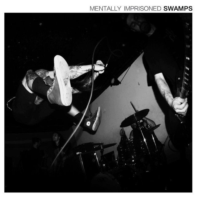 Swamps Photo