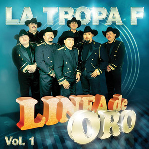 Linea De Oro Vol. 1 album