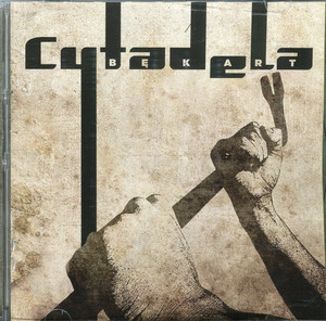 Bękart cover