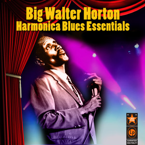 Harmonica Blues Essentials album