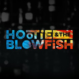 Blowfish Photo
