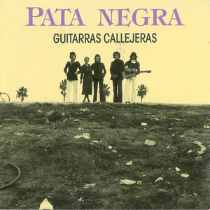 Guitarras callejeras album