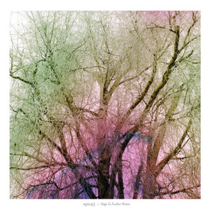 Steps to Further Winter cover