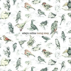 Losing Sleep cover