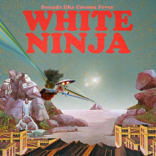 White Ninja Photo
