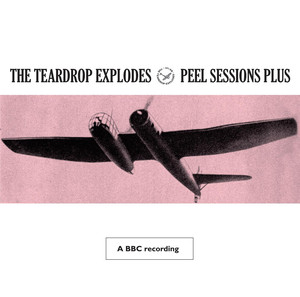 Peel Sessions Plus (BBC Version) album