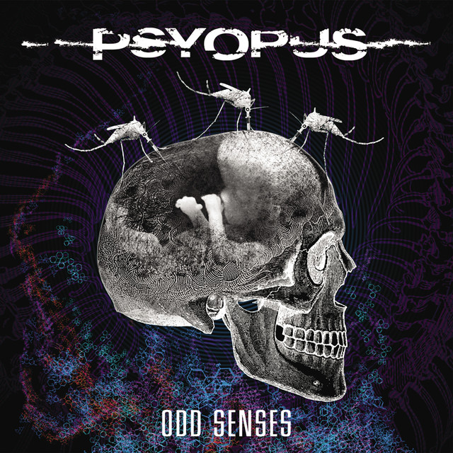 Odd Senses cover