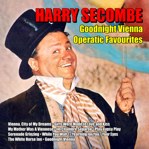 Goodnight Vienna: Operatic Favourites album
