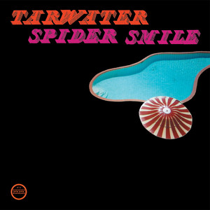 Spider Smile cover