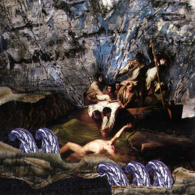 Metridium Fields cover