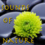 Sounds Of Nature Albumcover