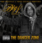The Danger Zone cover