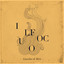 Il fuoco cover