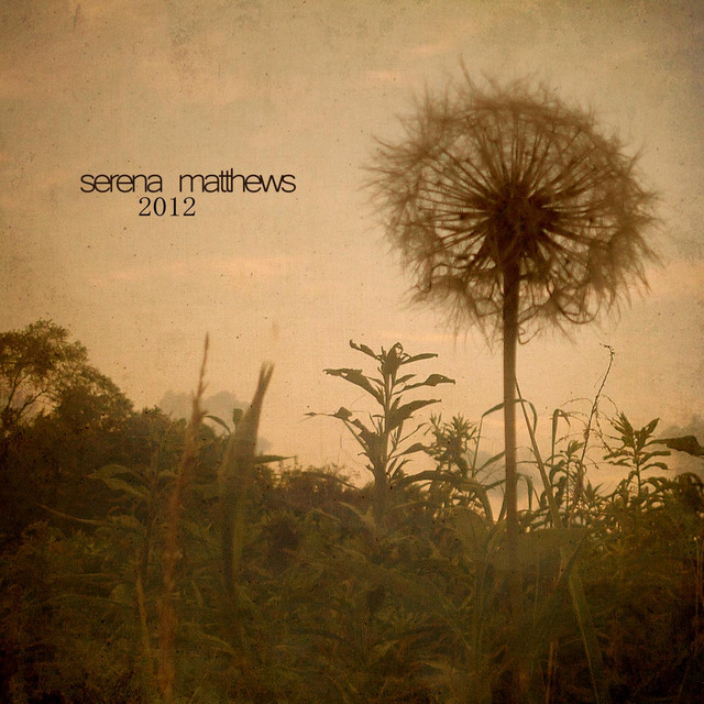 Serena Matthews Photo