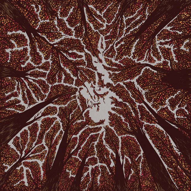 Crown Shyness cover