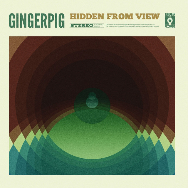 Hidden From View cover