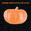 Rotund for Success cover