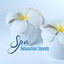 Spa Relaxation Sounds – Beautiful Memories, Soothing Sounds, Music to Rest & Relax cover