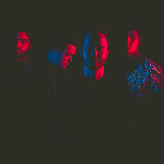 The Strive Photo