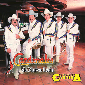 Espejo De Cantina cover